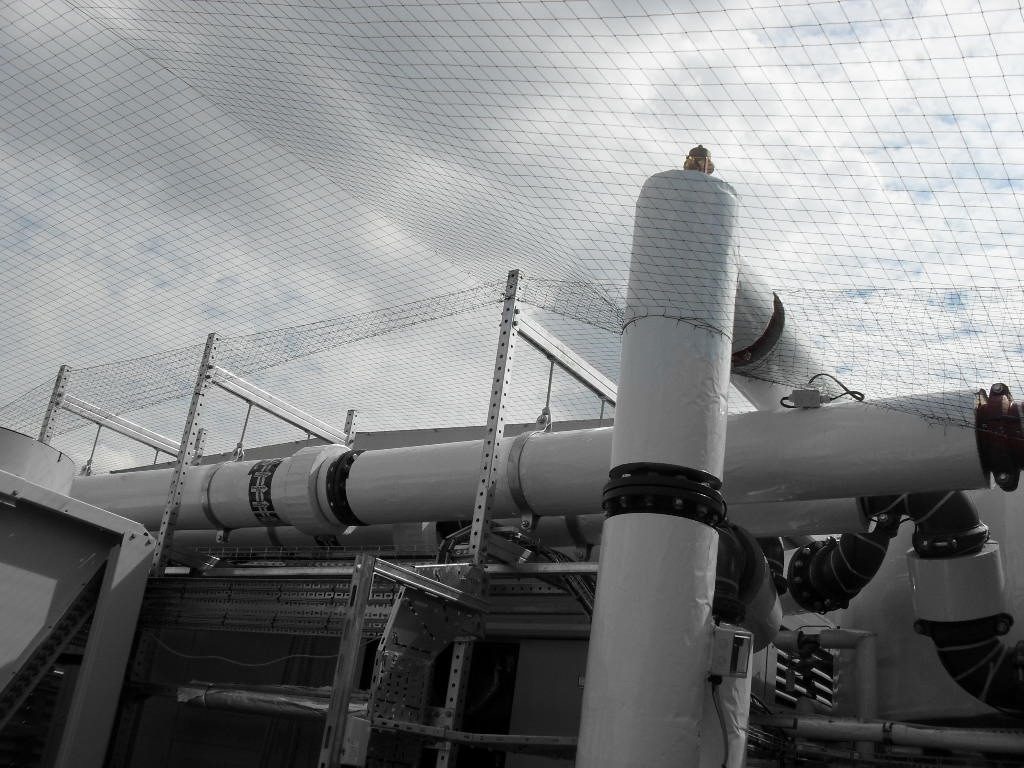 Bird Control in Southend-on-Sea, Essex